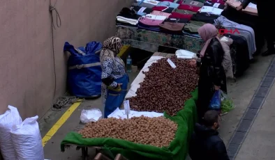 Esenler’de Çin Kestanesi Denetimi