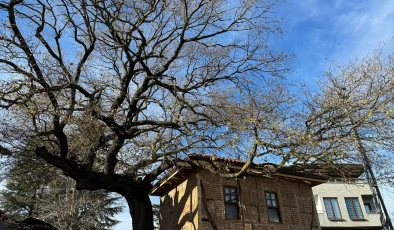 Yalova’daki Osmanlı dönemi mescidi restore edildi