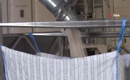 Yeni araştırma: Kolon ve makat kanser riskini yüzde 35 düşürüyor