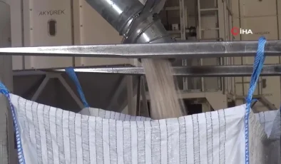 Yeni araştırma: Kolon ve makat kanser riskini yüzde 35 düşürüyor