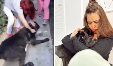 Köpeği, başka bir köpeği öldüren Banu Parlak’tan açıklama: Oyun oynamak için yanına gitti