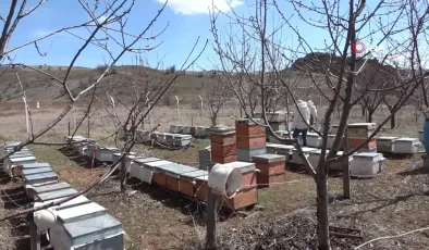 Uzmanı uyardı: 10 km uzaklıktaki yetiştiriciyi bile etkiliyor