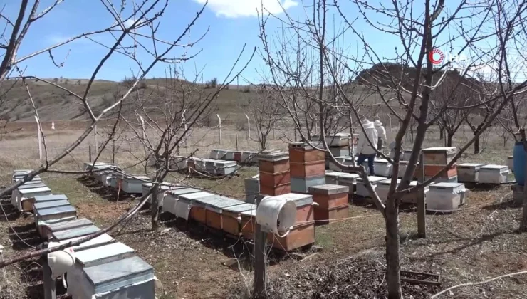 Uzmanı uyardı: 10 km uzaklıktaki yetiştiriciyi bile etkiliyor