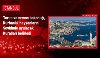 Kurbanlık Hayvan Sevklerinde Yeni Kurallar Belirlendi