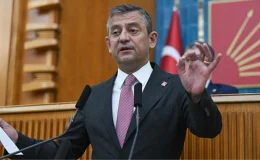 Özel’den sokak hayvanlarının uyutulmasına tepki: Uyutmak kısırlaştırmaktan daha pahalı