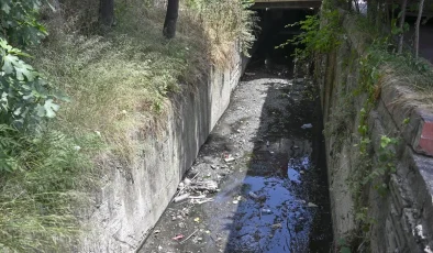 İstanbul’da Derelerden Yayılan Kötü Koku ve Kirlilik