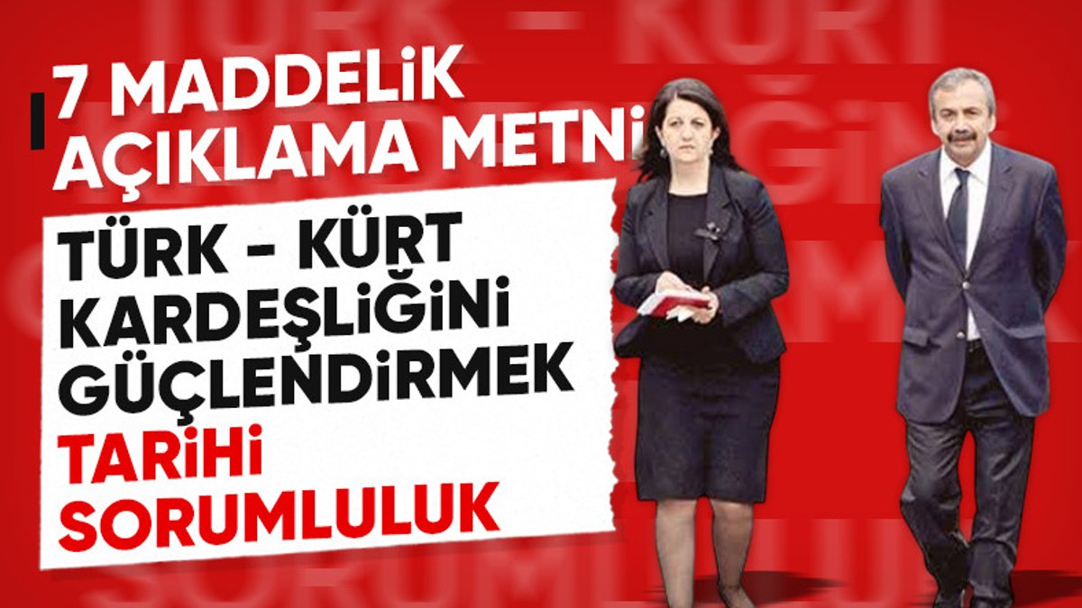 DEM Parti’den İmralı görüşmesi sonrası 7 maddelik açıklama