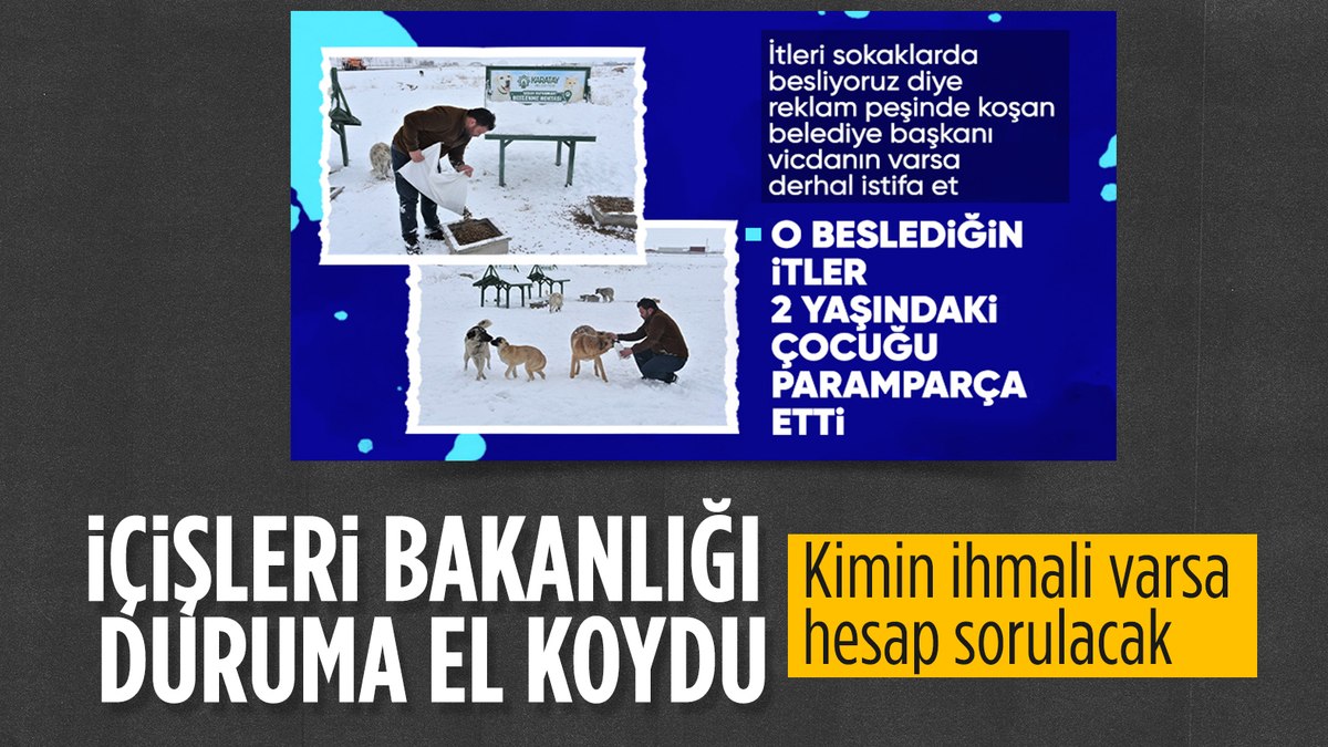 Ali Yerlikaya’dan Konya’daki köpek saldırısıyla ilgili açıklama
