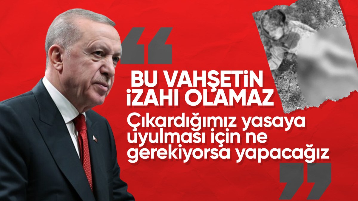 Cumhurbaşkanı Erdoğan’dan Konya’daki köpek vahşetiyle ilgili net mesaj